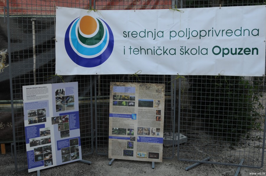 Rimska_noc (21)